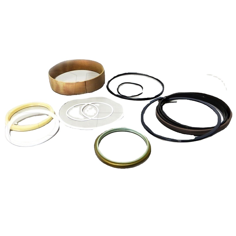 R107466 original Piston and Rod Front Packing Seal